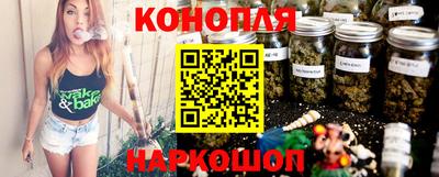 стафф Гай