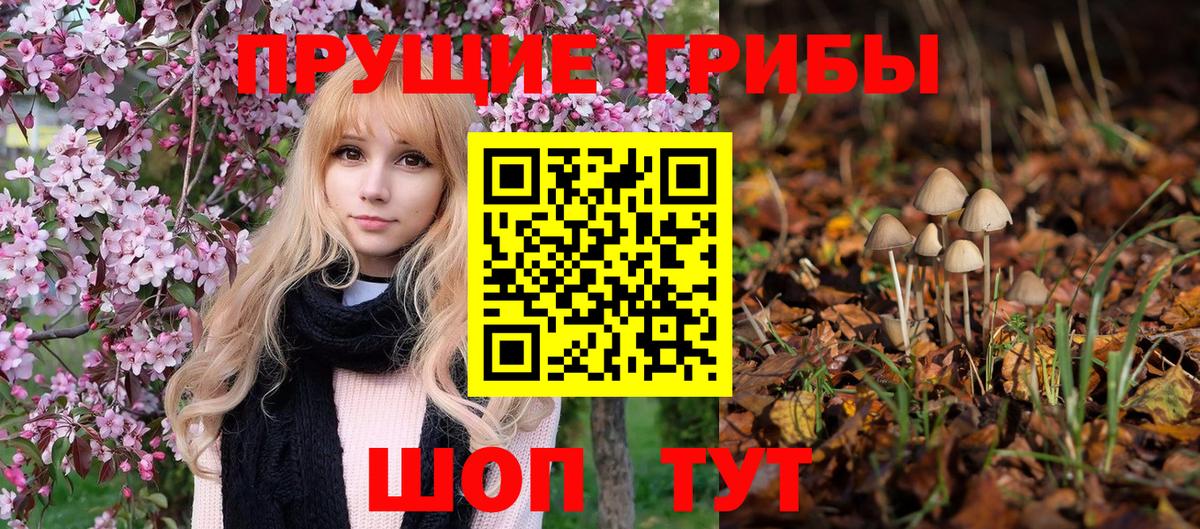 Псилоцибиновые грибы Magic Shrooms  Галлюциногенные грибы MAGIC MUSHROOMS  наркота  Кимовск  Вход с VPN 