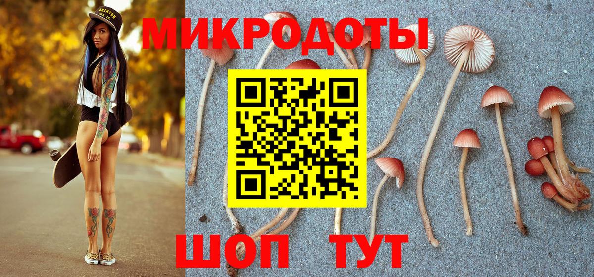 Псилоцибиновые грибы Cubensis Кимовск