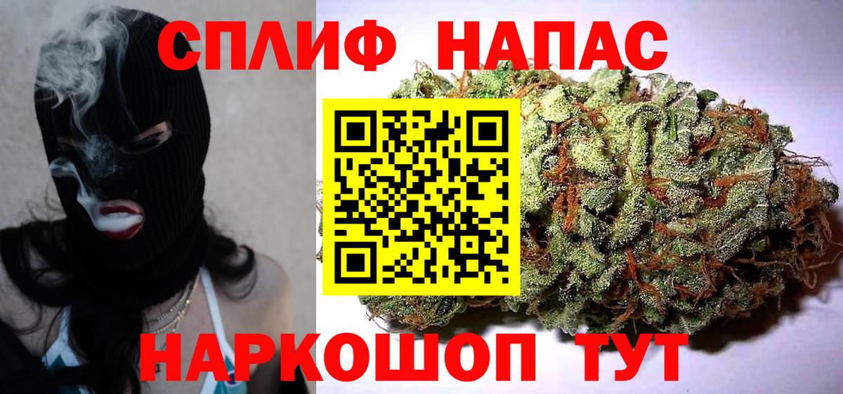 Конопля семена Кимовск